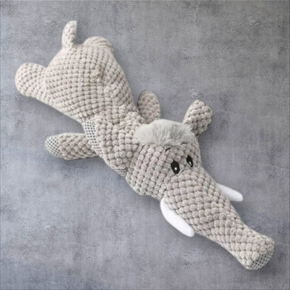 PetHero - Toys for Dog